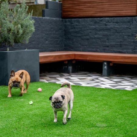 Doghouse Margate Bed & Breakfast ภายนอก รูปภาพ